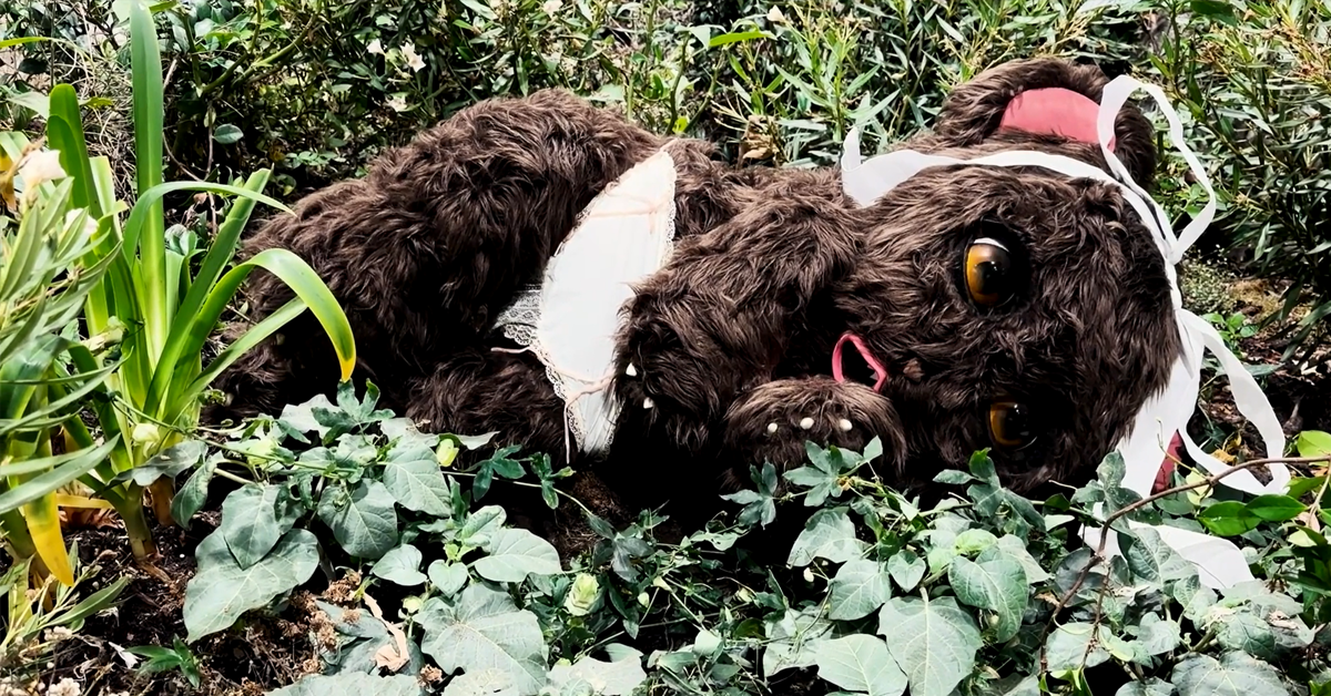 image of a stuffed bear lying in a field of weeds and flowers
